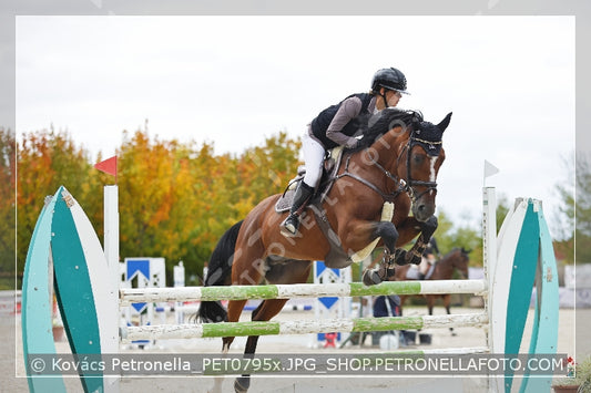 A kép az eredeti csökkentett reprezentációja