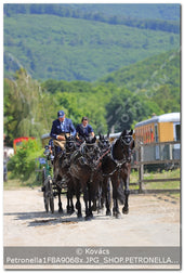 A kép az eredeti csökkentett reprezentációja