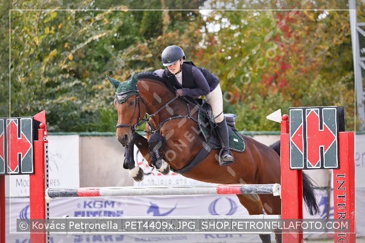 A kép az eredeti csökkentett reprezentációja