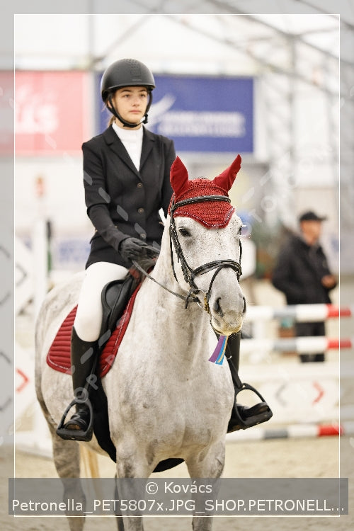 A kép az eredeti csökkentett reprezentációja