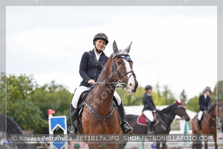 A kép az eredeti csökkentett reprezentációja