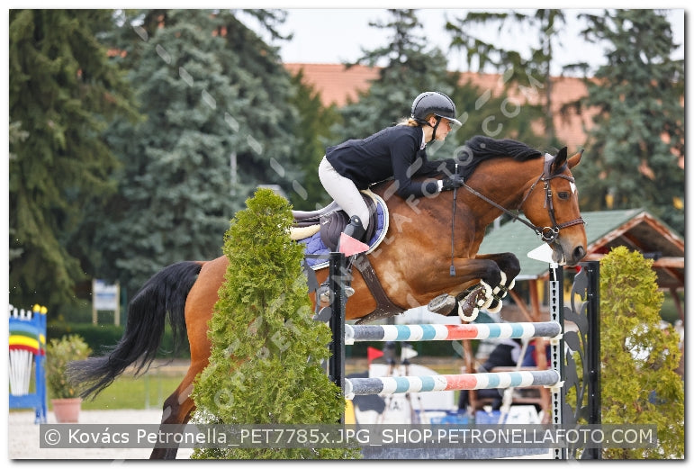 A kép az eredeti csökkentett reprezentációja