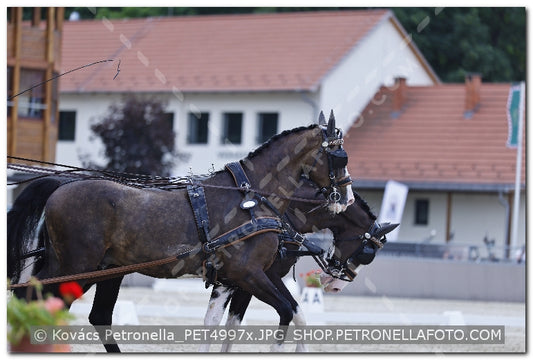 A kép az eredeti csökkentett reprezentációja