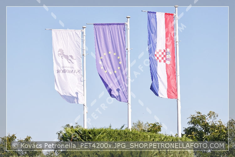 A kép az eredeti csökkentett reprezentációja