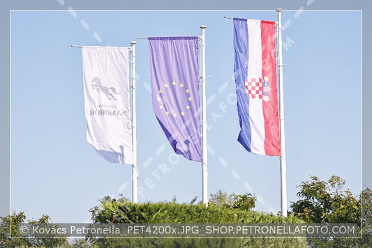 A kép az eredeti csökkentett reprezentációja