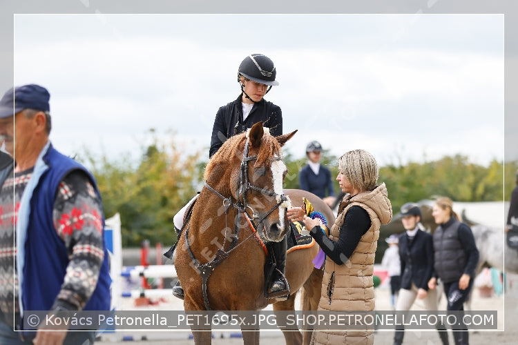 A kép az eredeti csökkentett reprezentációja