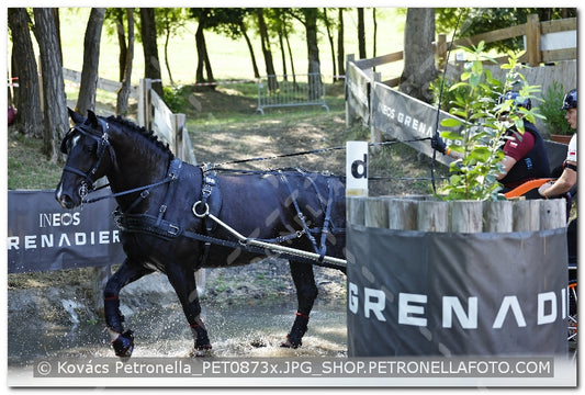 A kép az eredeti csökkentett reprezentációja