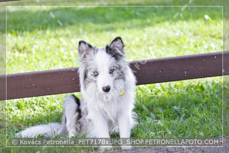 A kép az eredeti csökkentett reprezentációja