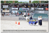 A kép az eredeti csökkentett reprezentációja