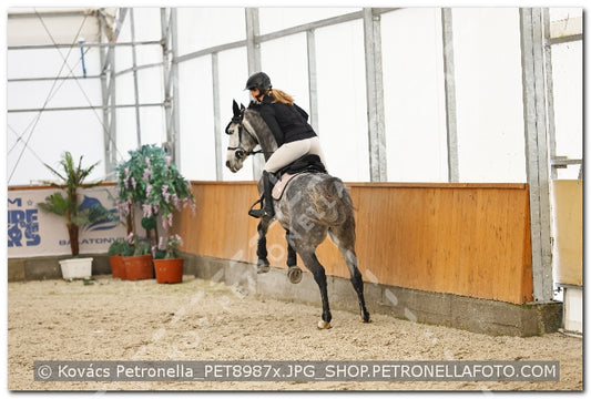 A kép az eredeti csökkentett reprezentációja