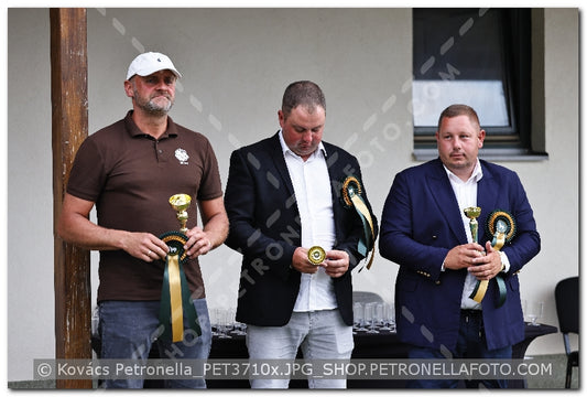 A kép az eredeti csökkentett reprezentációja